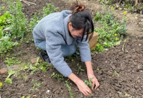 探寻自然之美:农庄旅游全攻略