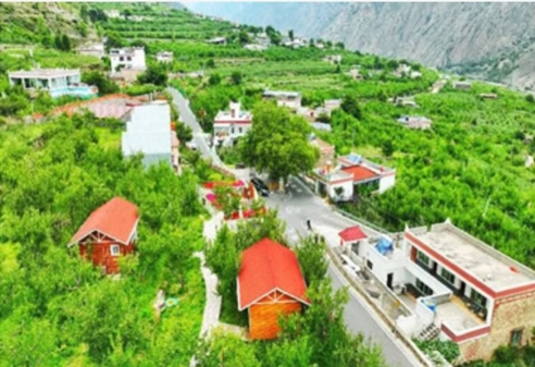 绿色田园共享菜园