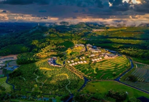 绿色田园共享菜园